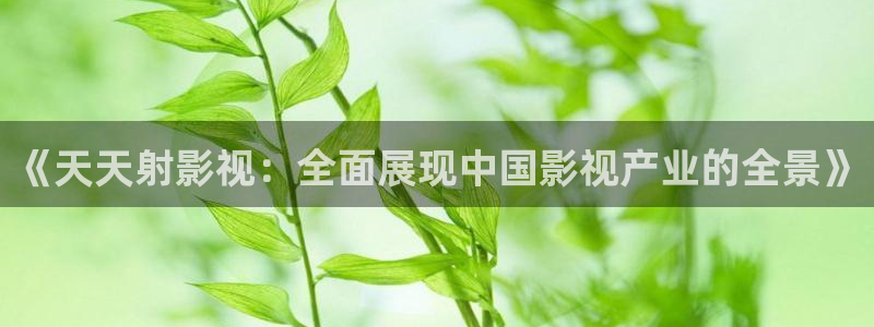 yy6080新视觉电视剧免费播放：《天天射影视：全面展现中国影视产业的全景》