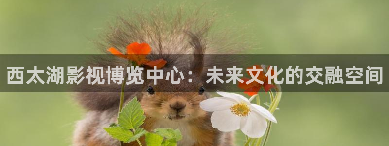 6080神马电影院手机高清在线：西太湖影视博览中心：未来文化的交融空间