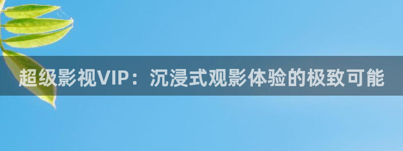 新视觉影院在线观看6080